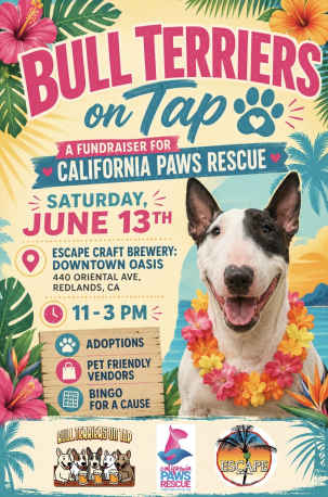 Bull Terriers on Tap - A Escape Craft Brewery Event